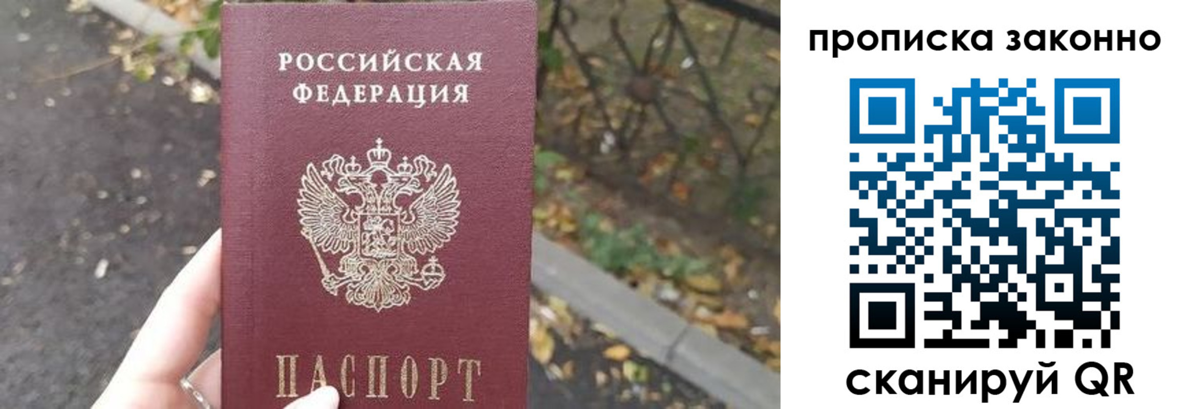 прописка для школы в Камышине